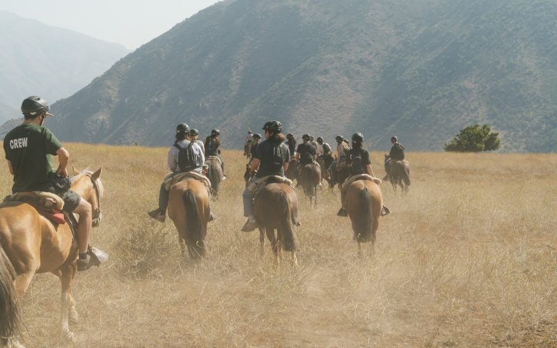 Group of riders crossing a golden Andes meadow with mountain peaks behind, Yerba Loca, Chile