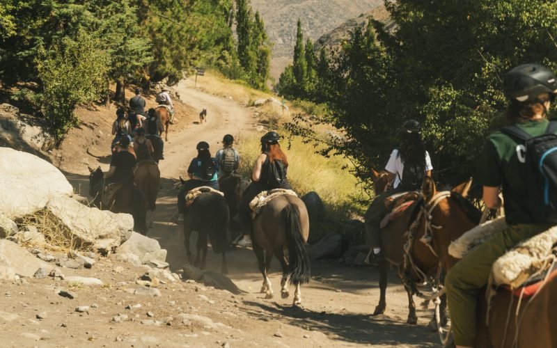 Riders on a tree-lined mountain trail in Yerba Loca