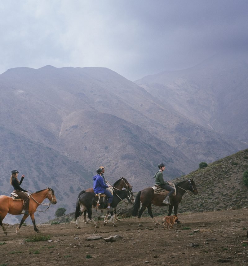 Andes