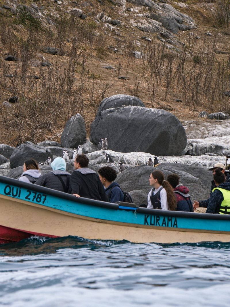 Travelers in a local fishing boat watching Humboldt penguins on the rocks of Cachagua Island from the water