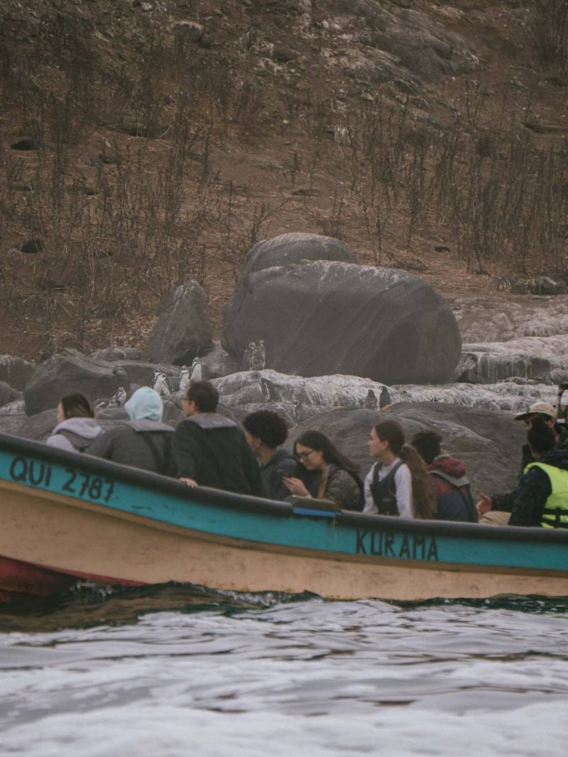 Travelers on a small wooden fishing boat watching Humboldt penguins on the rocks of Cachagua Island