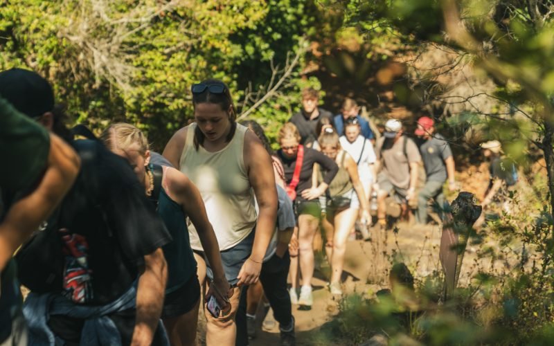 Walking through native coastal forest in Parque El Boldo