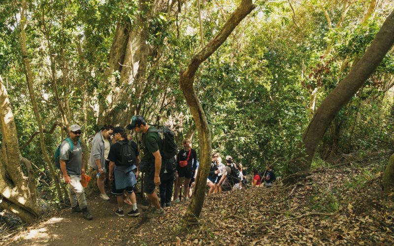 Small group on a narrow El Boldo trail through native coastal vegetation